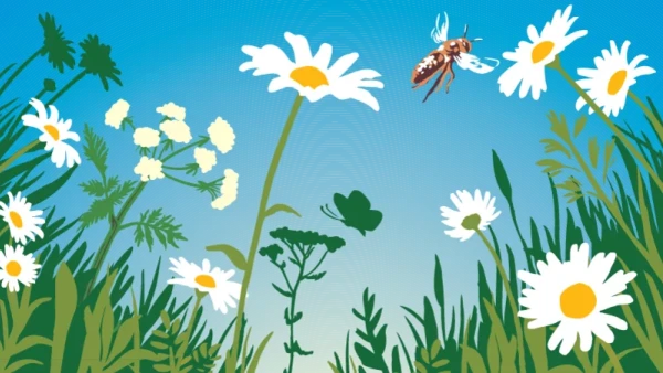 Neues Team im Technischen Dienst